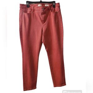 J. Jill Authentic Jeans  Cotton Blend Denim Medium Wash Size 14 NWT